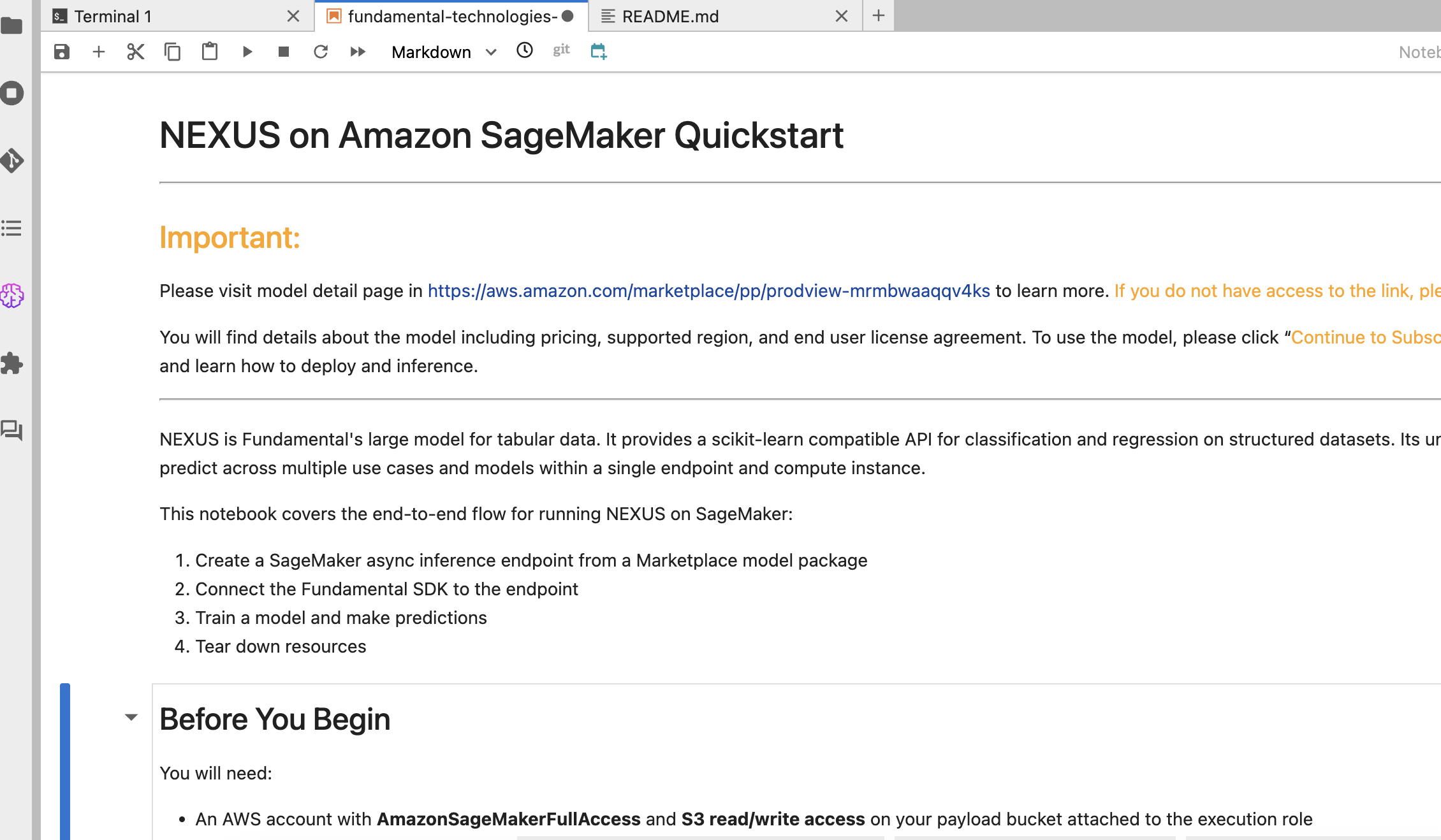 Notebook hướng dẫn khởi động nhanh NEXUS trên Amazon SageMaker